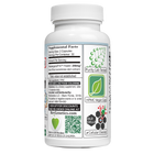 SENOLYTICS 250: Fisetin Supplement 250mg Mind & Lifespan